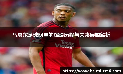 米乐体育官网