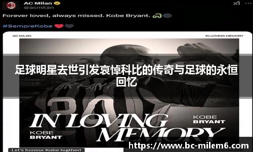 米乐体育